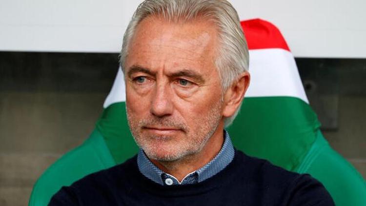 Son dakika | BAE Milli Futbol Takımı'nda Van Marwijk dönemi!
