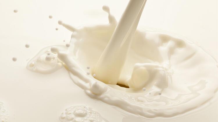 Çiğ Süt Zararlı mıdır? 