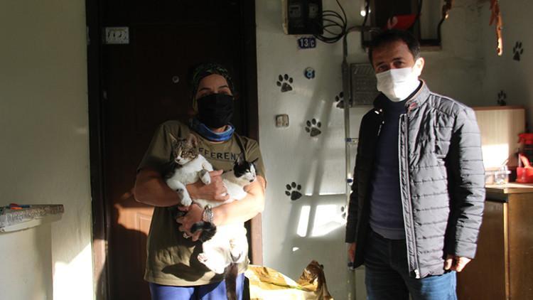 Muhtar sokak hayvanlarını kendi imkanları ile besliyor