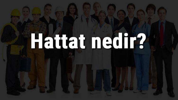 hattat nedir ne is yapar ve nasil olunur hattat olma sartlari maaslari ve is imkanlari hattat nedir ne is yapar ve nasil olunur hattat olma sartlari maaslari ve is imkanlari