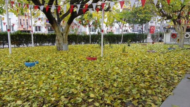Salgında kapalı olan çay bahçesinde seyirlik manzara
