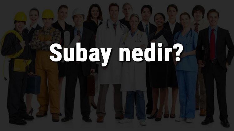 subay nedir ne is yapar ve nasil olunur subay olma sartlari maaslari ve is imkanlari subay nedir ne is yapar ve nasil olunur subay olma sartlari maaslari ve is imkanlari