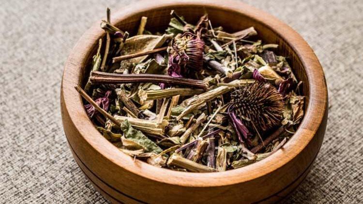 Ekinezya (Kirpi otu) nedir? Faydaları nelerdir ve nasıl tüketilmeli?