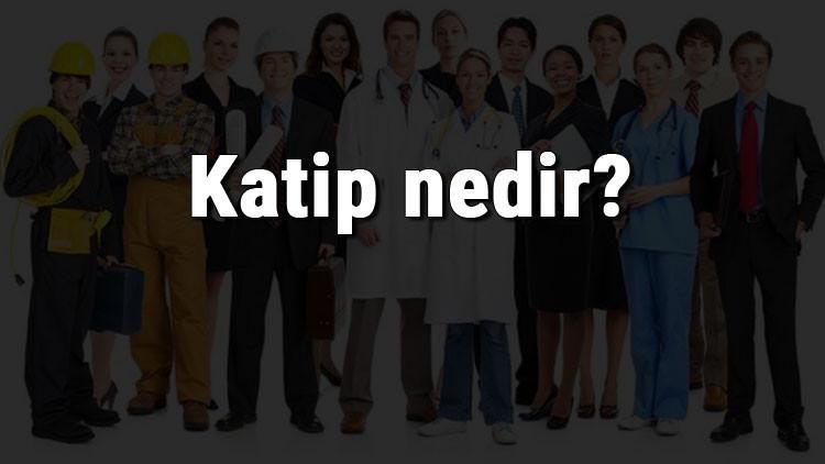 katip nedir ne is yapar ve nasil olunur katip olma sartlari maaslari ve is imkanlari katip nedir ne is yapar ve nasil olunur katip olma sartlari maaslari ve is imkanlari