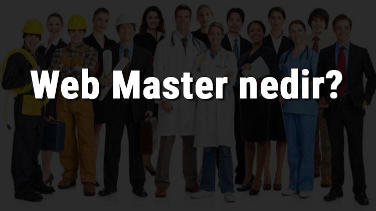 Web Master nedir, ne iş yapar ve nasıl olunur? Web Master olma şartları, maaşları ve iş imkanları