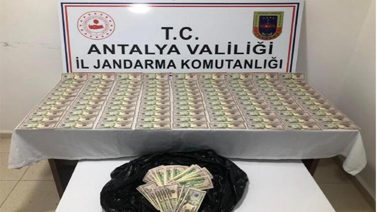 Antalya'da jandarmadan sahte dolar baskını