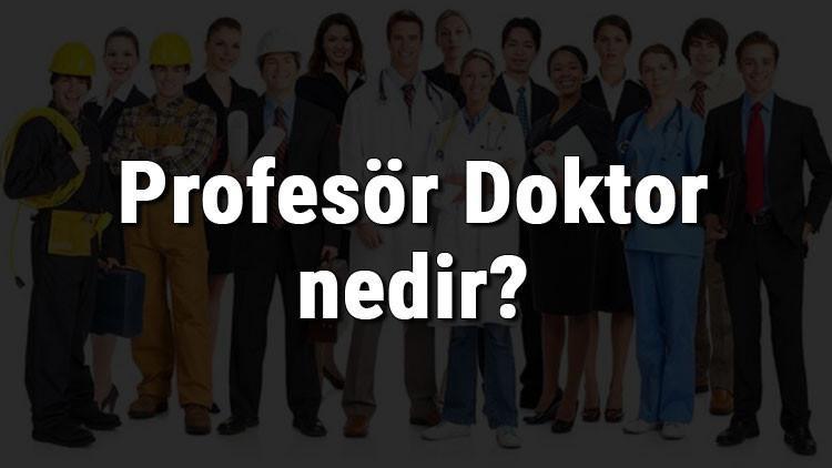Profesör Doktor nedir, ne iş yapar ve nasıl olunur? Profesör Doktor olma şartları, maaşları ve iş imkanları