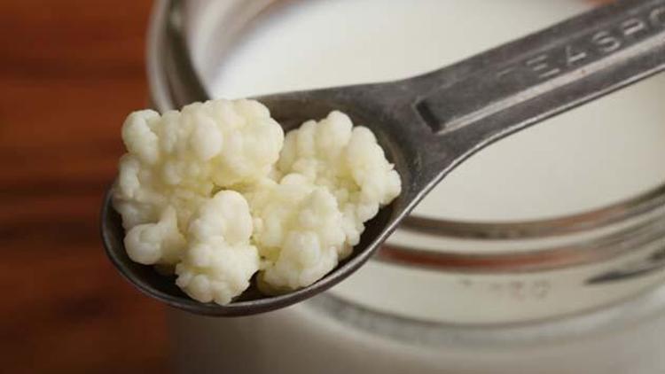 Kefirin faydaları neler? Kefir nelere iyi gelir?