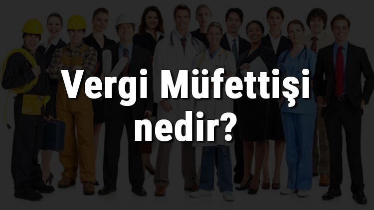 Vergi Müfettişi nedir, ne iş yapar ve nasıl olunur? Vergi Müfettişi olma şartları, maaşları ve iş imkanları