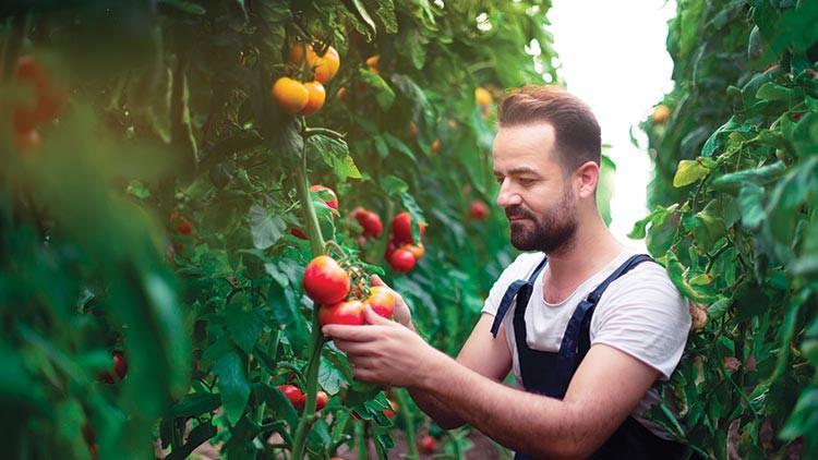 Çiftçi borçlarına envanter taraması