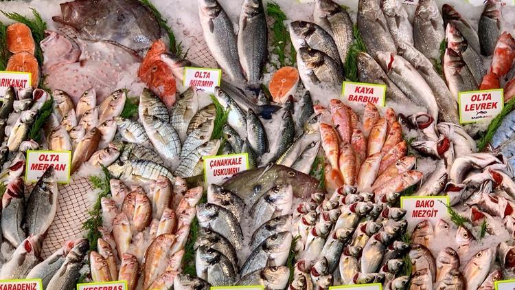 Deniz balıklarında büyük tehlike! Her lokmada plastik yiyoruz