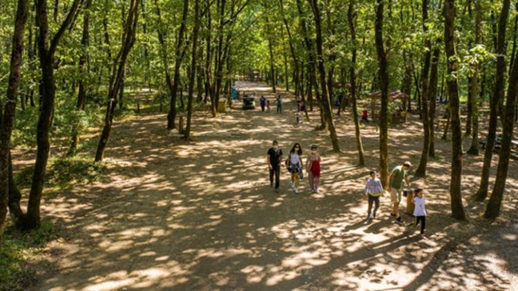 Avrupa'nın en büyük doğal yaşam parkı 5 milyon ziyaretçiyi ağırladı