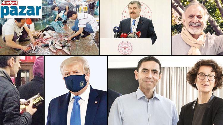 Koronaloji: Salgınla geçen bir yıl