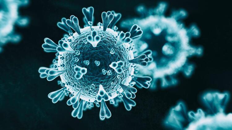 mutasyon virus nedir turkiye de gorulen koronavirus mutasyonuyla ilgili aciklama asidan sonra azalir son dakika haberleri