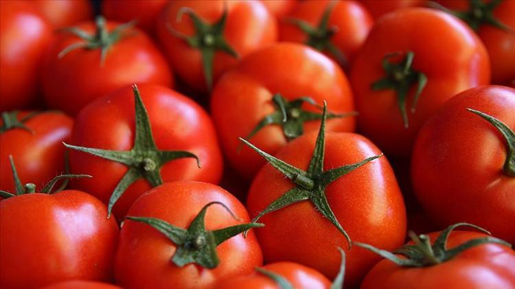 Türkiye'nin domates ihracatı geçen yıl yükseldi