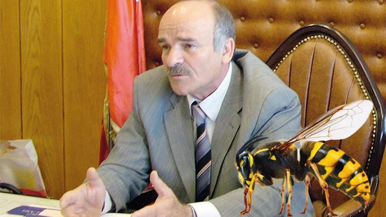 ‘Narkotik arı’ gerçek oldu! ‘Dalga geçenlerden özür bekliyorum’