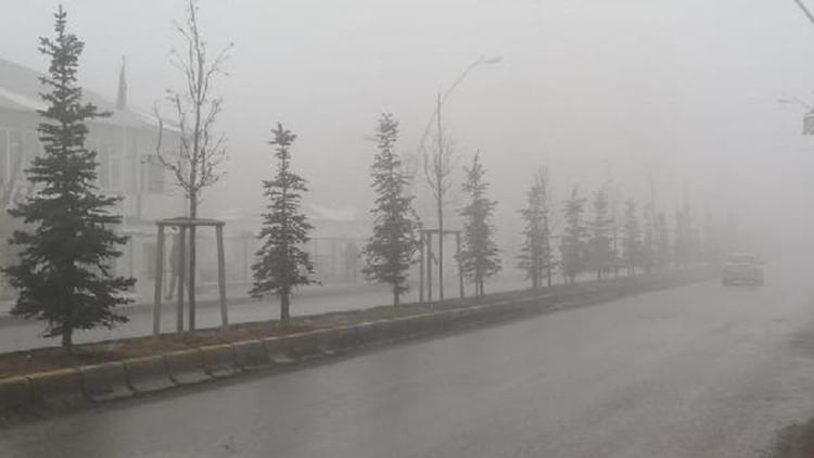 Ağrı'da yoğun sis