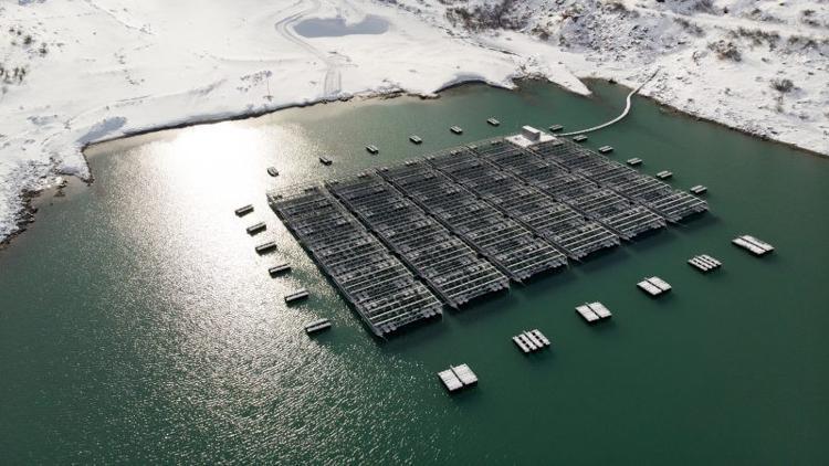 İsviçre Alpleri güneş enerjisinden elektrik üretecek