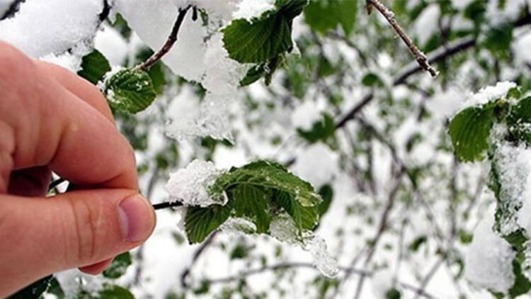 Meteoroloji'den bazı iller için 'zirai don' uyarısı