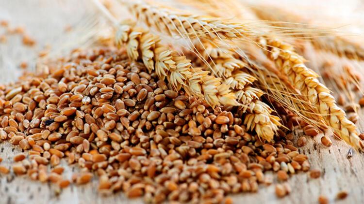Tam Tahıl ve Tam Buğday: Nedir, Farkları Neledir?