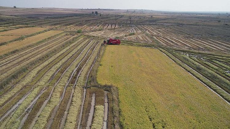 Tarımda modern sulama sistemlerinin oranı yüzde 94'e yükselecek