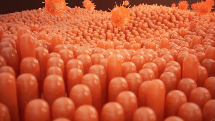 'HPV aşısı kanserden koruyor'
