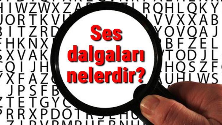 Ses Dalgalari Nelerdir Ses Dalgalari Cesitleri Ve Temel Ozellikleri
