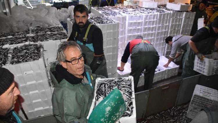 Balıkçılar, hamsi avının serbest olduğu İğneada'ya akın etti