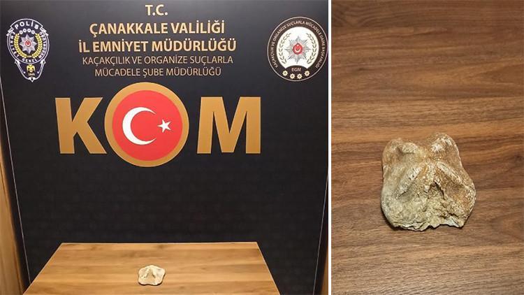 Çanakkale'de deniz yıldızı fosili ele geçirildi