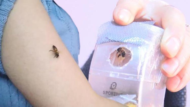 Malatya'da ak�lalmaz olay! Dedikodu h�zla yay�ld�: Kendilerini ar�lara �s�rt�yorlar