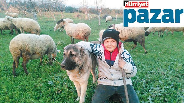 “Büyüyünce tarım bakanı olacak çocuk” diyenler var!