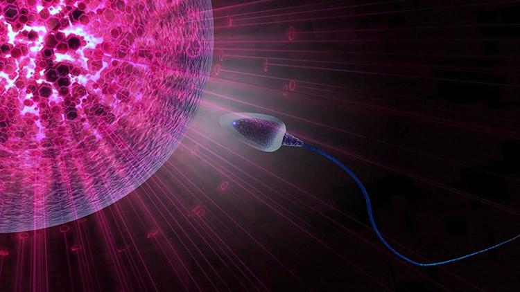 “TESE” ile sperm çıkmayan azospermi uygulamaları