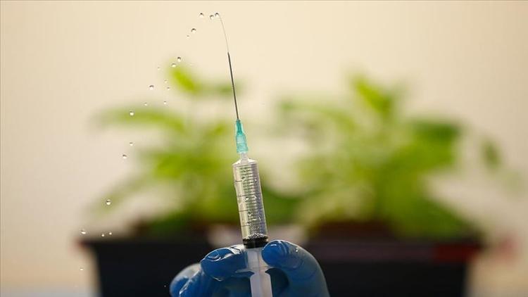 Nipah Virüsü nedir, belirtileri nelerdir? Bilim insanlarından önemli uyarı!