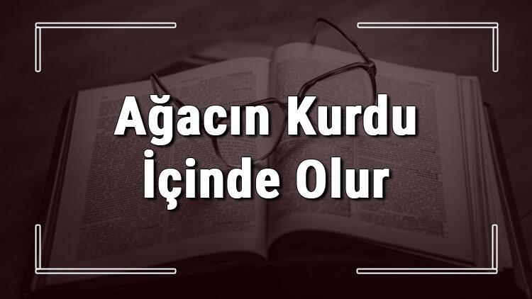 agacin kurdu icinde olur atasozunun anlami ve ornek cumle icinde kullanimi tdk