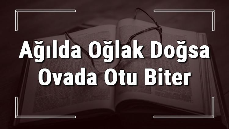 Ağılda Oğlak Doğsa Ovada Otu Biter atasözünün anlamı ve örnek cümle içinde kullanımı (TDK)