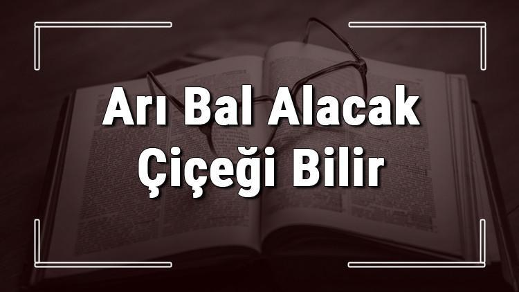Arı Bal Alacak Çiçeği Bilir atasözünün anlamı ve örnek cümle içinde kullanımı (TDK)