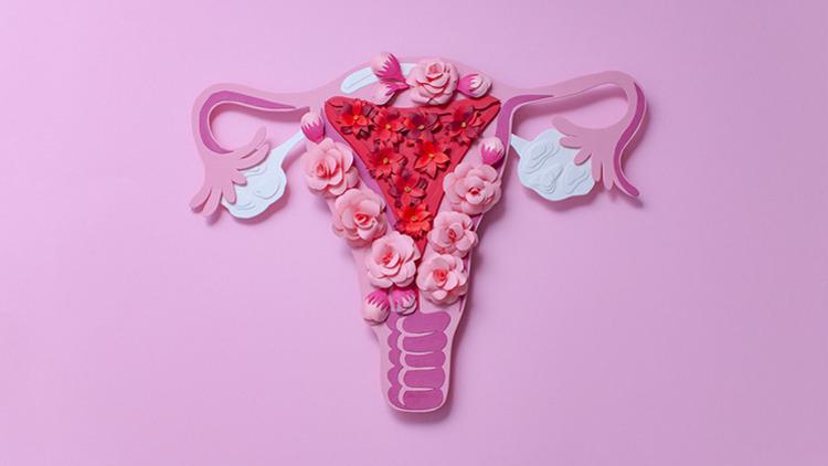 Genital Estetik: Neden, Nasıl?