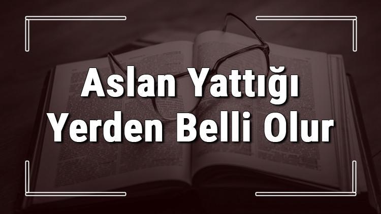 Aslan Yattığı Yerden Belli Olur atasözünün anlamı ve örnek cümle içinde kullanımı (TDK)