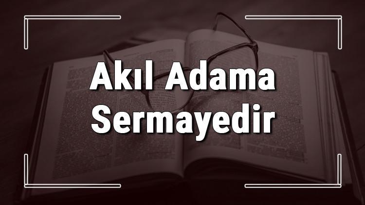 Akıl Adama Sermayedir atasözünün anlamı ve örnek cümle içinde kullanımı (TDK)