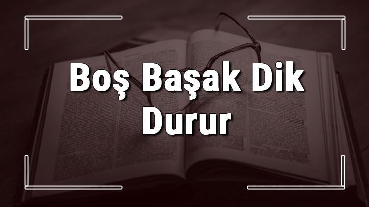 bos basak dik durur atasozunun anlami ve ornek cumle icinde kullanimi tdk