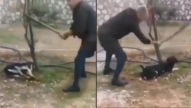 G�r�nt�ler sosyal medyada b�y�k tepki toplam��t�! Valilikten a��klama