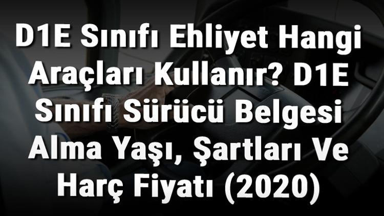 D1E Sınıfı Ehliyet Hangi Araçları Kullanır? D1E Sınıfı Sürücü Belgesi Alma Yaşı, Şartları Ve Harç Fiyatı (2020)