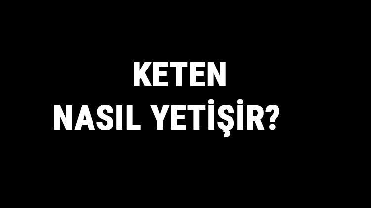 Keten Nasıl Yetişir? Keten Türkiye'de En Çok Ve En İyi Nerede Yetişir Ve Nasıl Yetiştirilir?