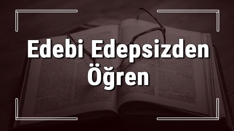 Edebi Edepsizden Öğren atasözünün anlamı ve örnek cümle içinde kullanımı (TDK)