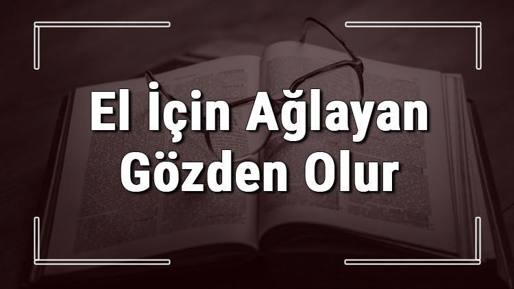 El İçin Ağlayan Gözden Olur atasözünün anlamı ve örnek cümle içinde kullanımı (TDK)
