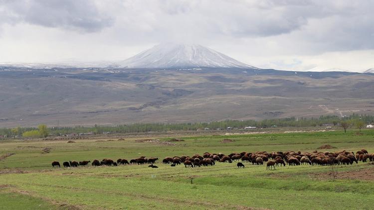 Ülkemizin en doğusundaki hazine: Iğdır
