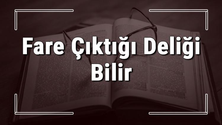 Fare Çıktığı Deliği Bilir atasözünün anlamı ve örnek cümle içinde kullanımı (TDK)