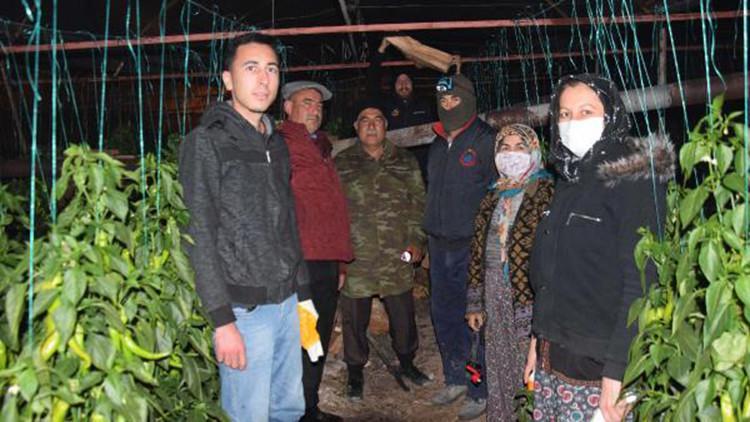 Antalya'da üretici don nöbetinde