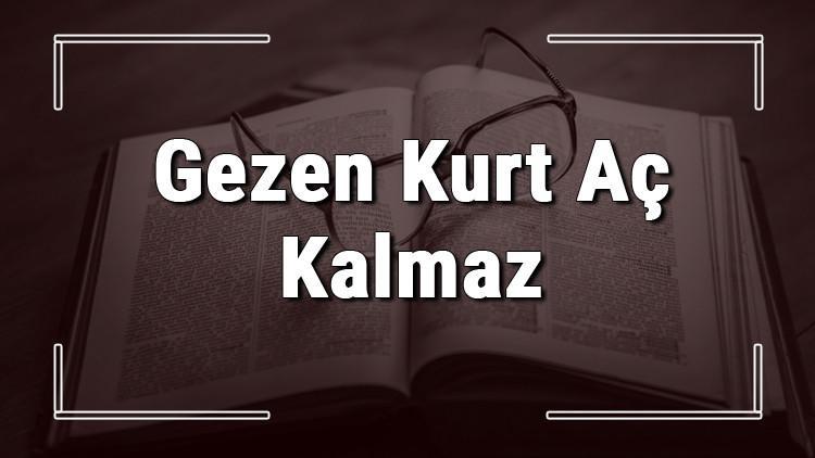 Gezen Kurt Aç Kalmaz atasözünün anlamı ve örnek cümle içinde kullanımı (TDK)