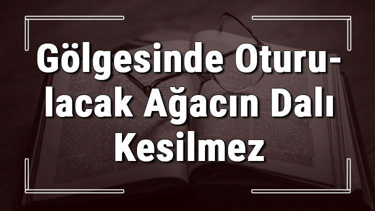 Gölgesinde Oturulacak Ağacın Dalı Kesilmez atasözünün anlamı ve örnek cümle içinde kullanımı (TDK)